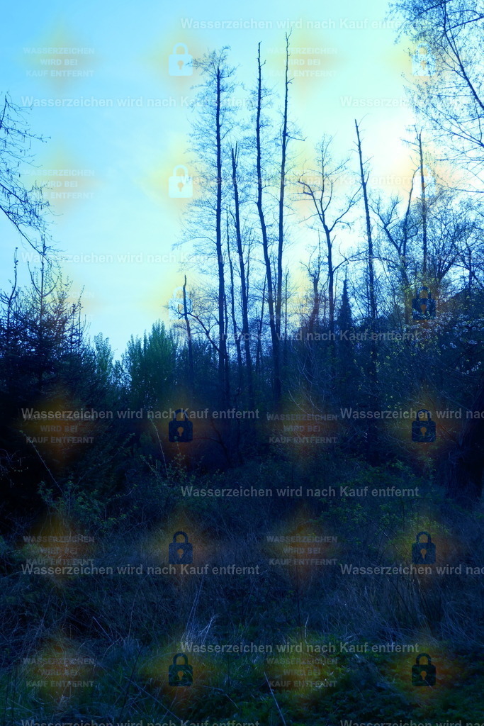 P1100855 | Fotoseite Wolkenblende - Das Hobby fotografieren begleitet mich schon  viele  Jahre. Auf den nächsten Seiten zeige ich ein paar Schnappschüsse der letzten Jahre und es kommen immer neue hinzu. Schau einfach mal rein. - Realisiert mit Pictrs.com