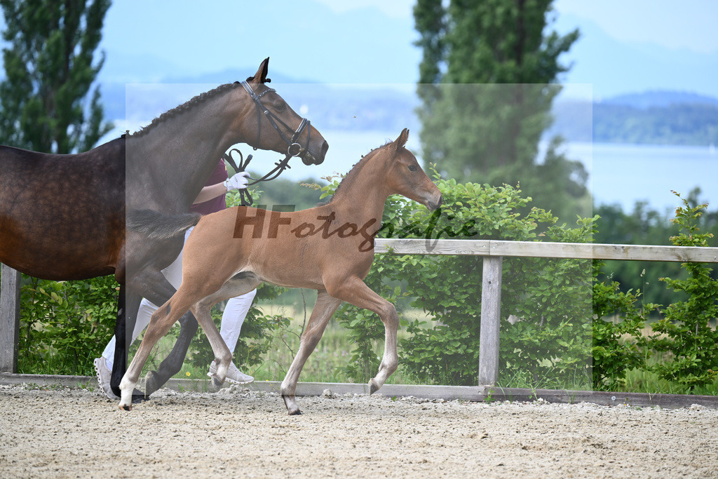 Va Bene x Fahrenheit_HF_Bosch_19240074 | hf-fotografie - Realisiert mit Pictrs.com
