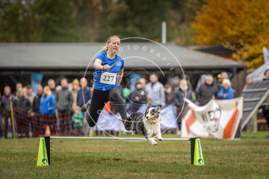Pfotenfotografie_DV3A3218 | Hundefotografie, Tierfotograf, Pfotenfotografie, Fotoshooting Hund, Hunde Portrait, Hundesport, Hundeportraits, Heideshooting, Hunde, Sportfotograf, Hundefotograf, Turnierhundsport, THS,  - Realisiert mit Pictrs.com