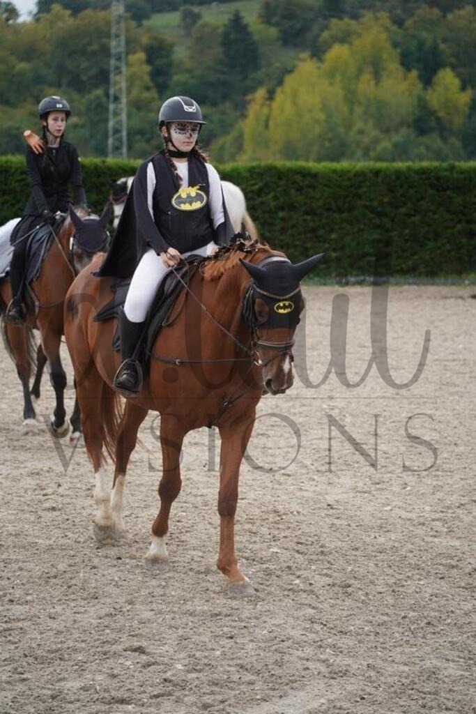 pfmagarethenhof (924) | d.tail Visions - Shop - Realisiert mit Pictrs.com