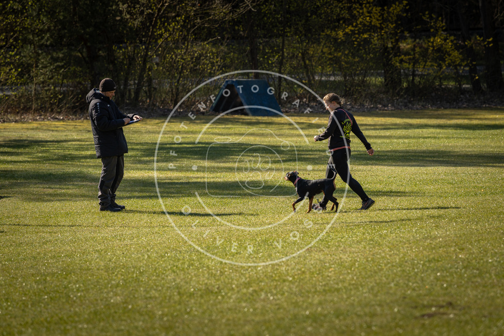 Pfotenfotografie_DV3A0307 | Hundefotografie, Tierfotograf, Pfotenfotografie, Fotoshooting Hund, Hunde Portrait, Hundesport, Hundeportraits, Heideshooting, Hunde, Sportfotograf, Hundefotograf, Turnierhundsport, THS,  - Realisiert mit Pictrs.com
