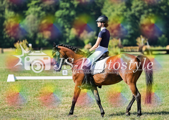20260628_14a_VA_Dressur-148 | JS-Photostyle - Sport-/Portrait- & Eventfotografie