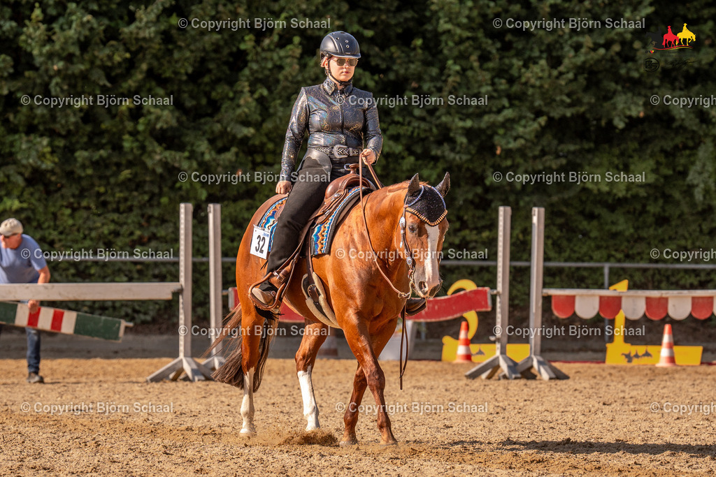 LMS07401 | BS-foto