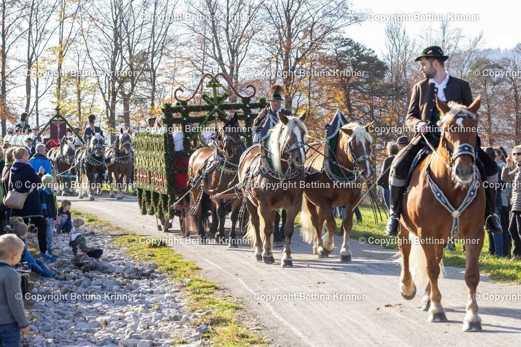 LBT24-1207 | foto-bettina-krinner - Realisiert mit Pictrs.com