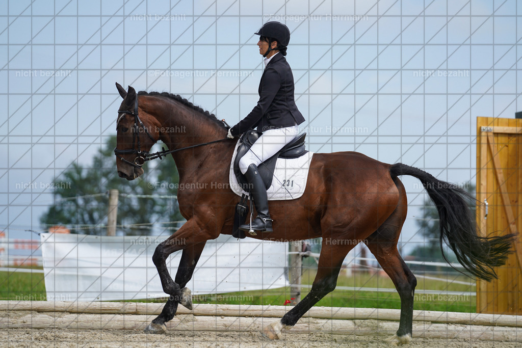 20230826-FAH05131 | Forstinning, 2023, Dressurturnier, Turniersportbilder, Turnierfotografen Bayern, Fotoagentur Herrmann, Reitsportfotografie, Turnierbilder