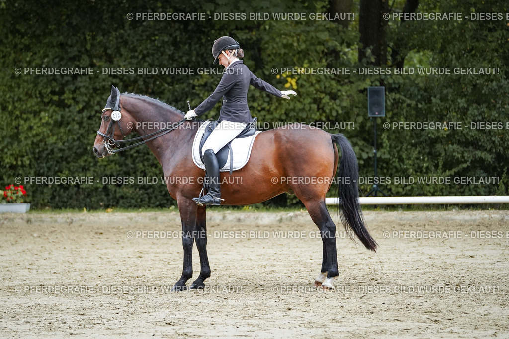 DSC00511 | Pferdegrafie