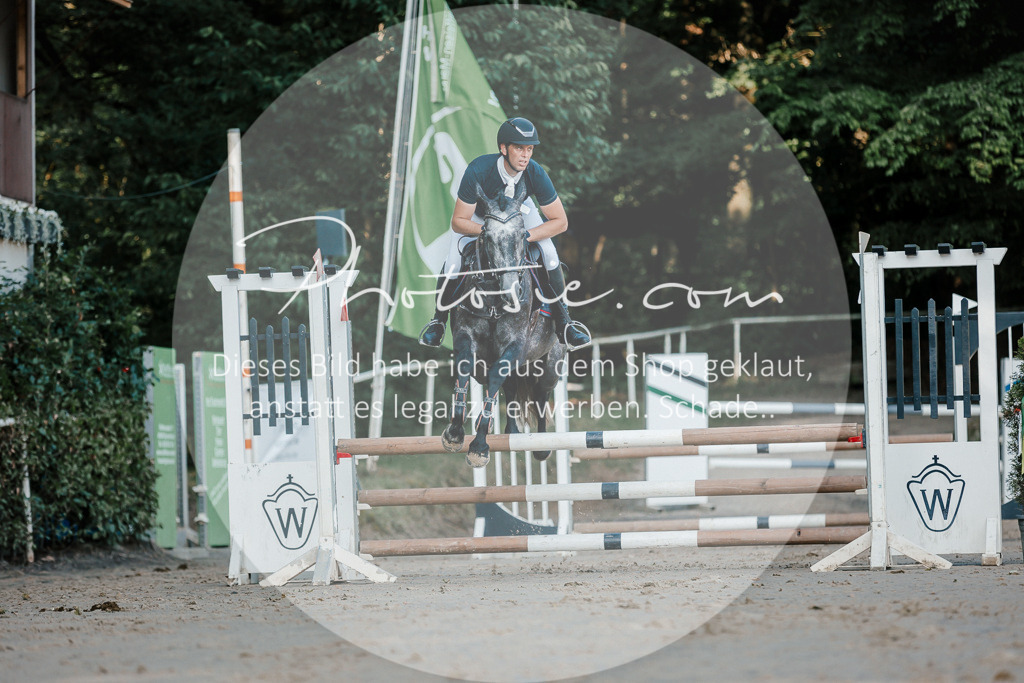 3I6A6112 | Stimmungsvolle Portraits und Reitsportfotografie im Ruhrgebiet und im Münsterland.

Pferdefotografie, Hundefotografie, Tierfotografie, Reportagen, Portraits von Tier und Mensch, Turnierfotografie in Bochum, Recklinghausen, Marl, Haltern am See, Dülmen.. - Realisiert mit Pictrs.com