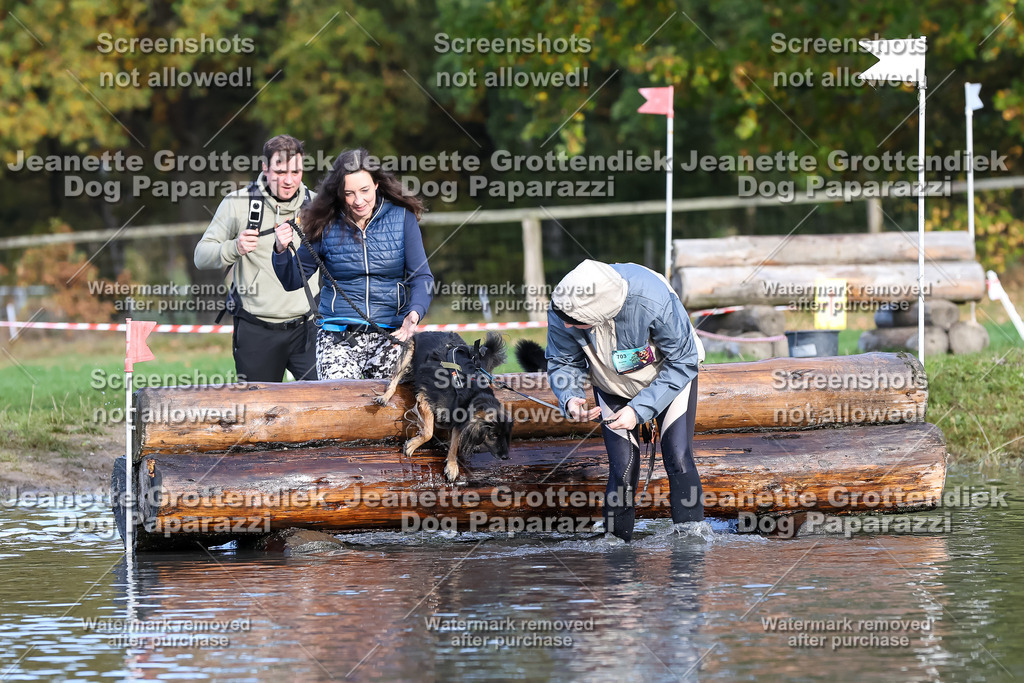 Dog Paparazzi - Strongdog 10-25-8316 | Dog Paparazzi Jeanette Grottendiek Fotografie & Videografie - Realisiert mit Pictrs.com