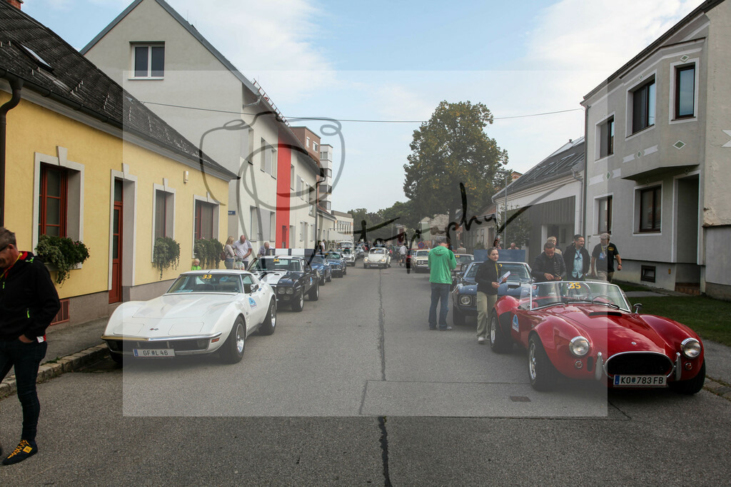 IMG_4572 | Gerhard Witt - Realisiert mit Pictrs.com