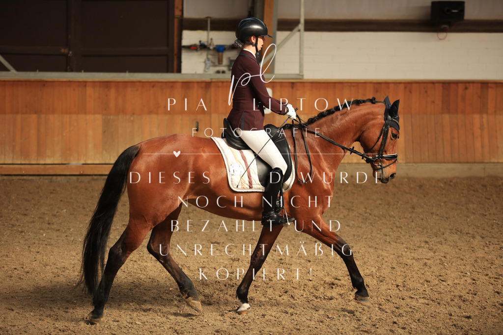 IMGT4626 | pl-fotografie