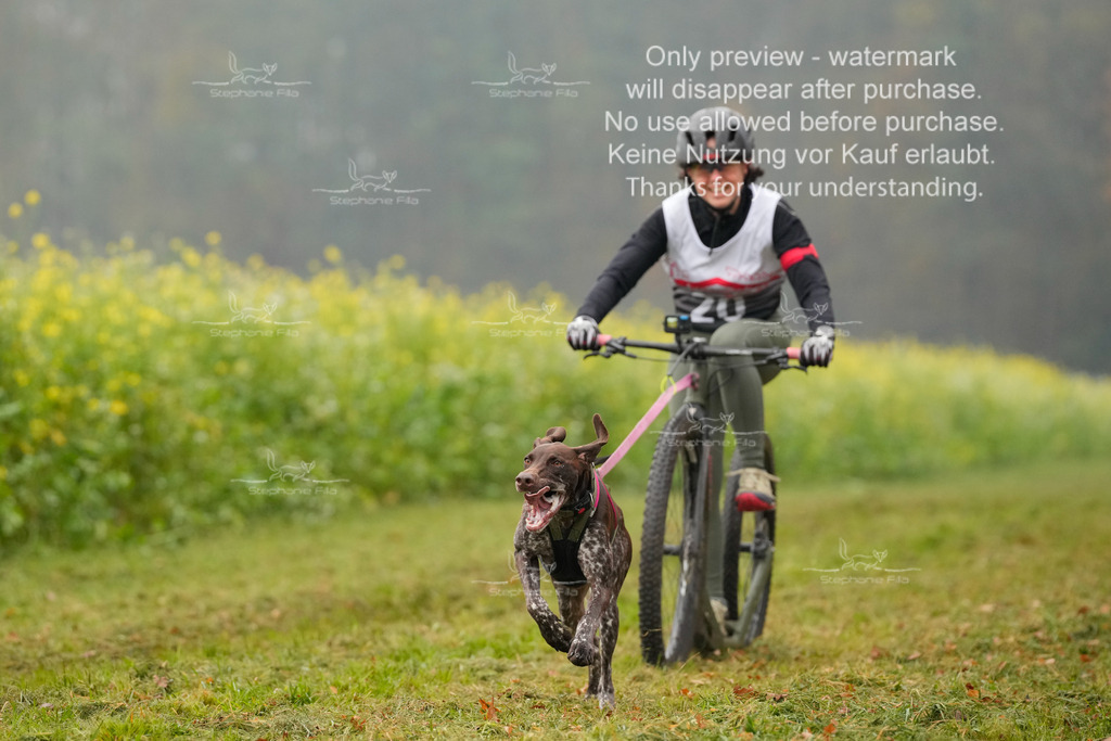 Visbeck_Sa_Scooter_Hc-9 | stephaniefillaphotographie - Realisiert mit Pictrs.com