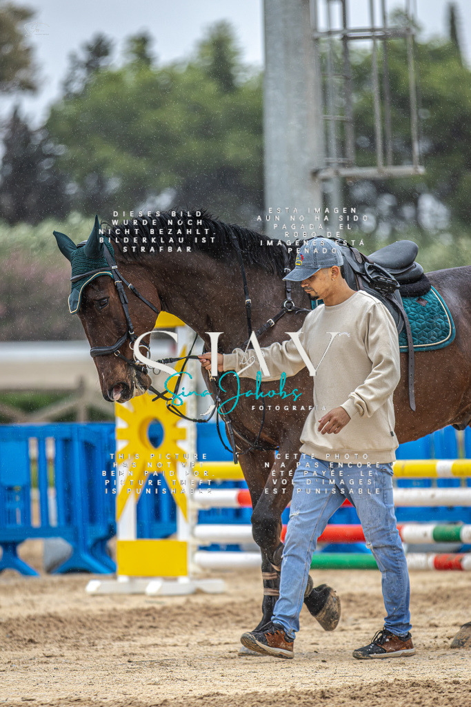 IMG_1620-Verbessert-RR | s-jay-photography - Realisiert mit Pictrs.com