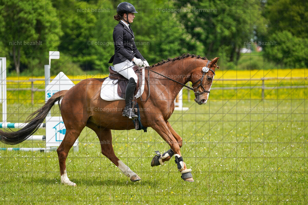 20230521-FAH06192 | Frühjahrsturnier, Landsberg am Lech, 2023, Reitclub Landsberg, Turnierbilder, Fotos Turnier Landsberg, Fotoagentur Herrmann, Turnierfotografen Bayern, Reitsport Fotograf, Pferde Fotograf