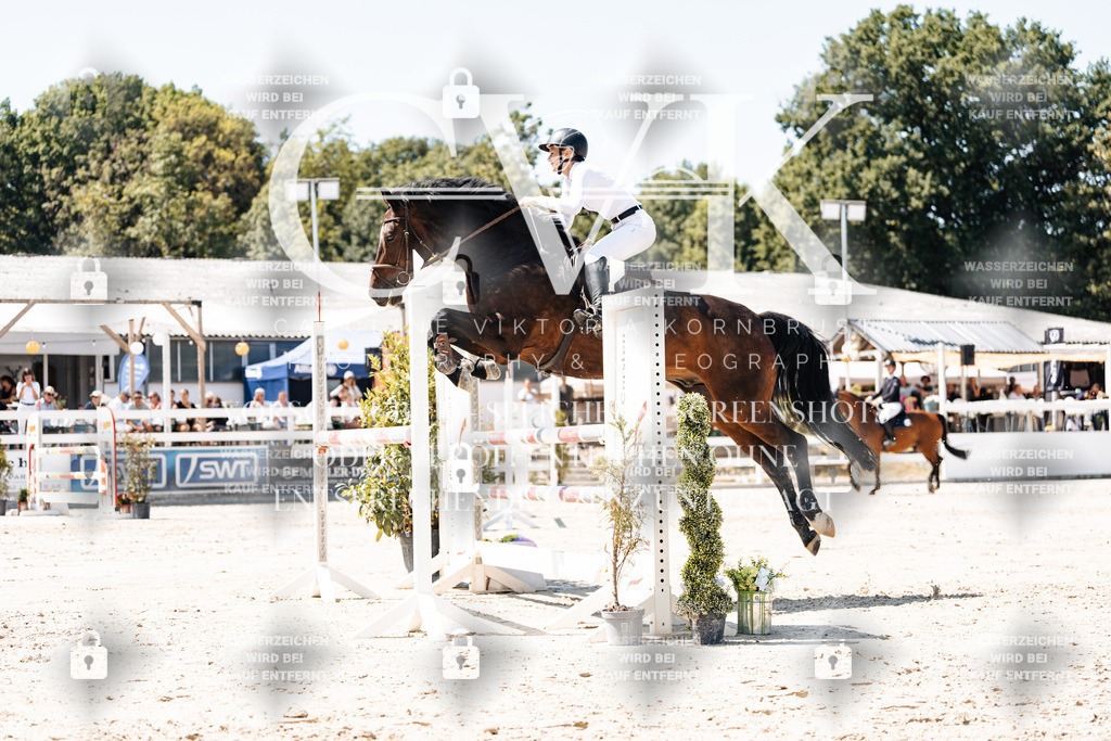 CK909951 | Turnierfotografie Pferdefotografie Trier Rheinland-Pfalz Pferdesport Reitsport Tierfotografie Sportfotografie Pferdevideo Pferdevideografie Equestrianvideography equestrianphotography  - Realisiert mit Pictrs.com