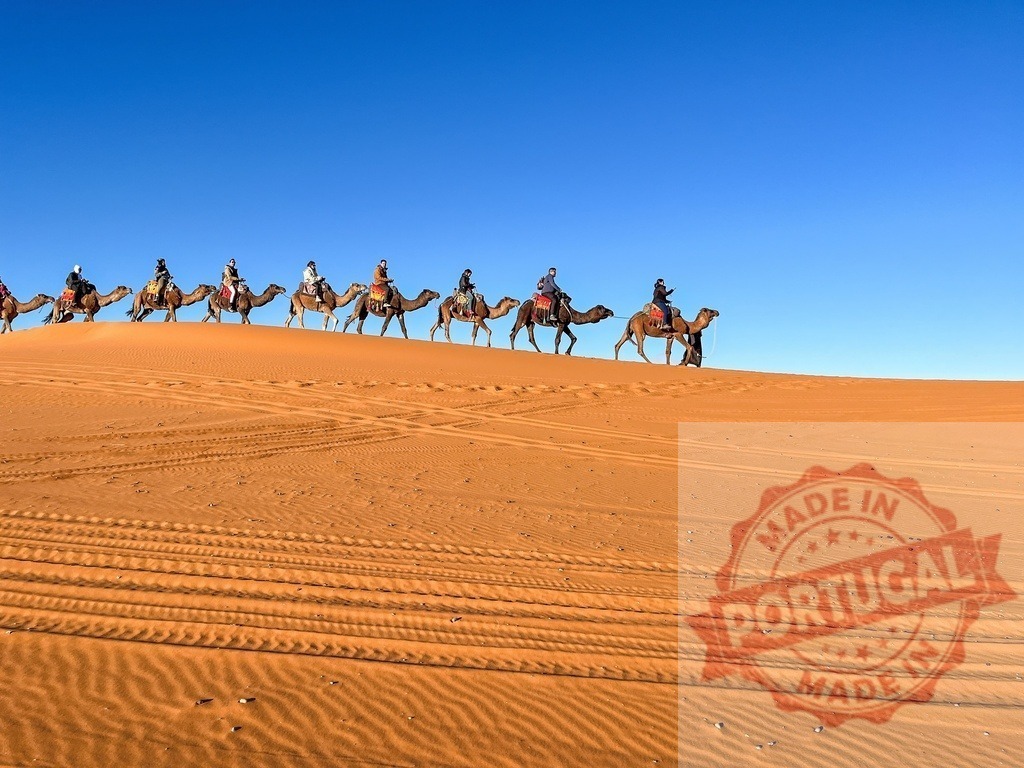 Tourists riding camels crossing the Sahara Desert under blue sky | Tourists riding dromedary camels during an excursion in the Sahara Desert - Realized with Pictrs.com
