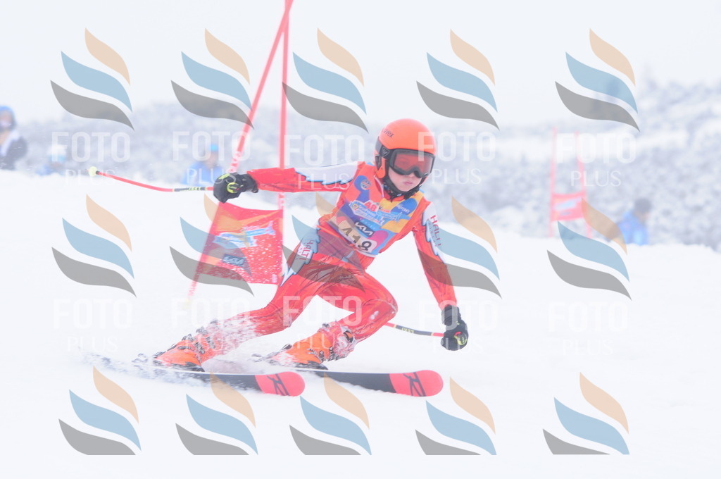 C4389 | holidayphoto