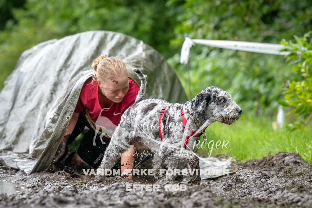 1045_ZZ92835 | kk-dogfotos