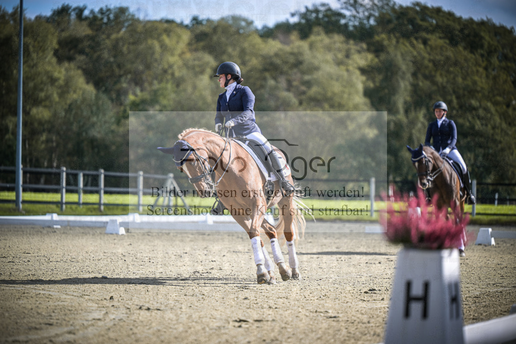 DOS_0269 | Entdecke hochwertige Reitturnierfotos von Foto Oger. Professionell, emotional und authentisch – jetzt Lieblingsmomente im Shop bestellen.Deutschlandweite Turnierfotografie. - Realisiert mit Pictrs.com