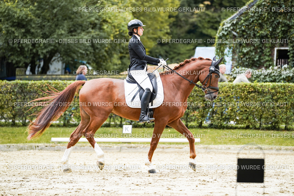 DSC08003 | Pferdegrafie