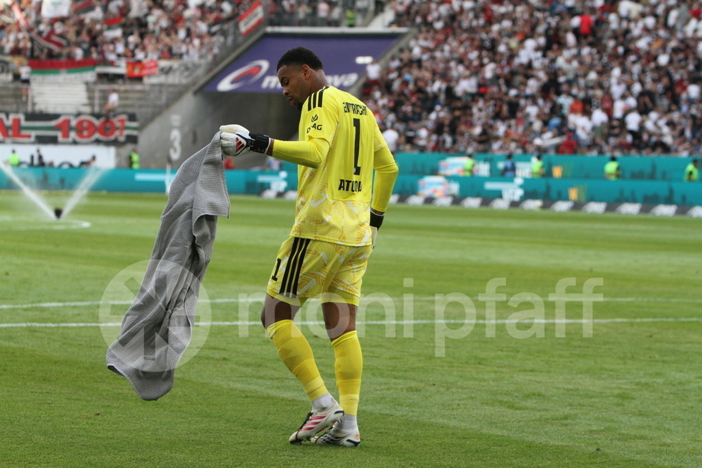 Noah Atubolu | Online-Shop | monipfaff.de - Realisiert mit Pictrs.com
