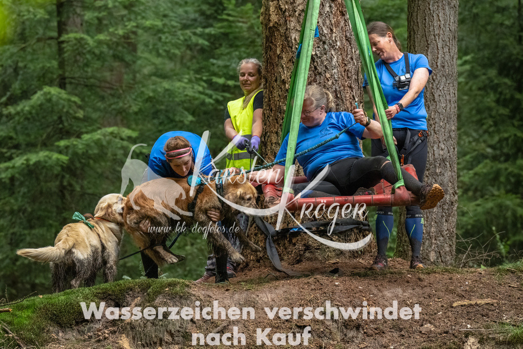 1142_ZZ90213-Bearbeitet | kk-dogfotos
