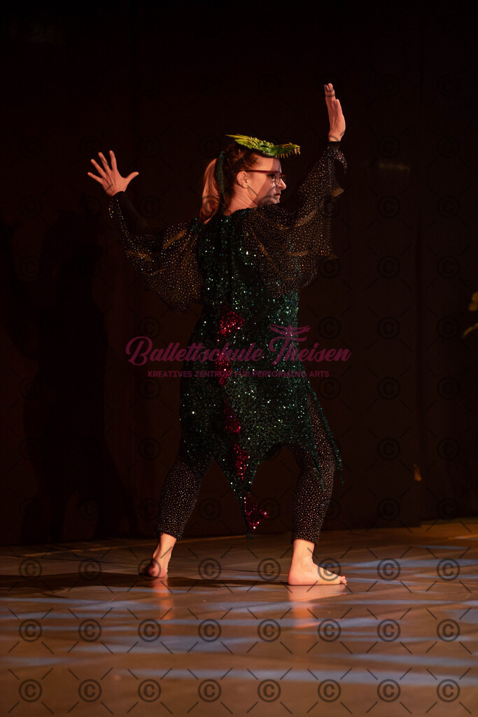 Ballettaufführung-1414 | Bildershop Lem'n Entertainment - Realisiert mit Pictrs.com