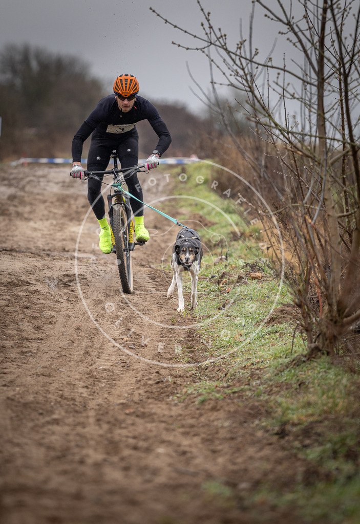 DV3A8855 | Hundefotografie, Tierfotograf, Pfotenfotografie, Fotoshooting Hund, Hunde Portrait, Hundesport, Hundeportraits, Heideshooting, Hunde, Sportfotograf, Hundefotograf, Turnierhundsport, THS,  - Realisiert mit Pictrs.com