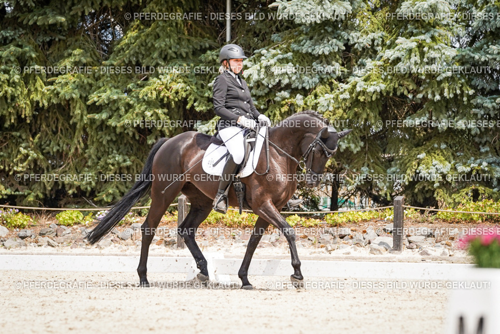 DSC03485 | Pferdegrafie