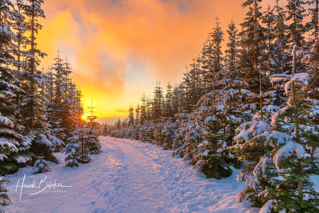 Abendstimmung auf dem Kahlen Asten | Winterliche Abendstimmung auf dem Kahlen Asten - Realisiert mit Pictrs.com