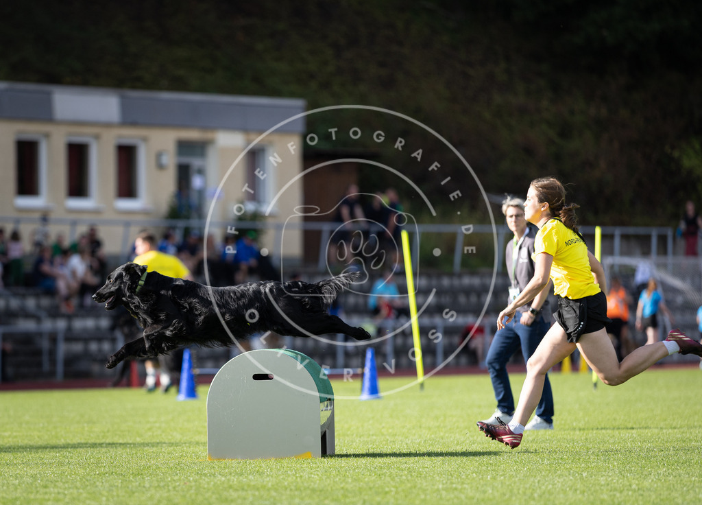 Pfotenfotografie_DV3A2122 | Hundefotografie, Tierfotograf, Pfotenfotografie, Fotoshooting Hund, Hunde Portrait, Hundesport, Hundeportraits, Heideshooting, Hunde, Sportfotograf, Hundefotograf, Turnierhundsport, THS,  - Realisiert mit Pictrs.com