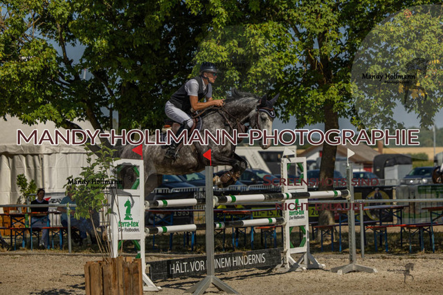 26-7-24 SPF M+-247 | mandyhollmannphotographie