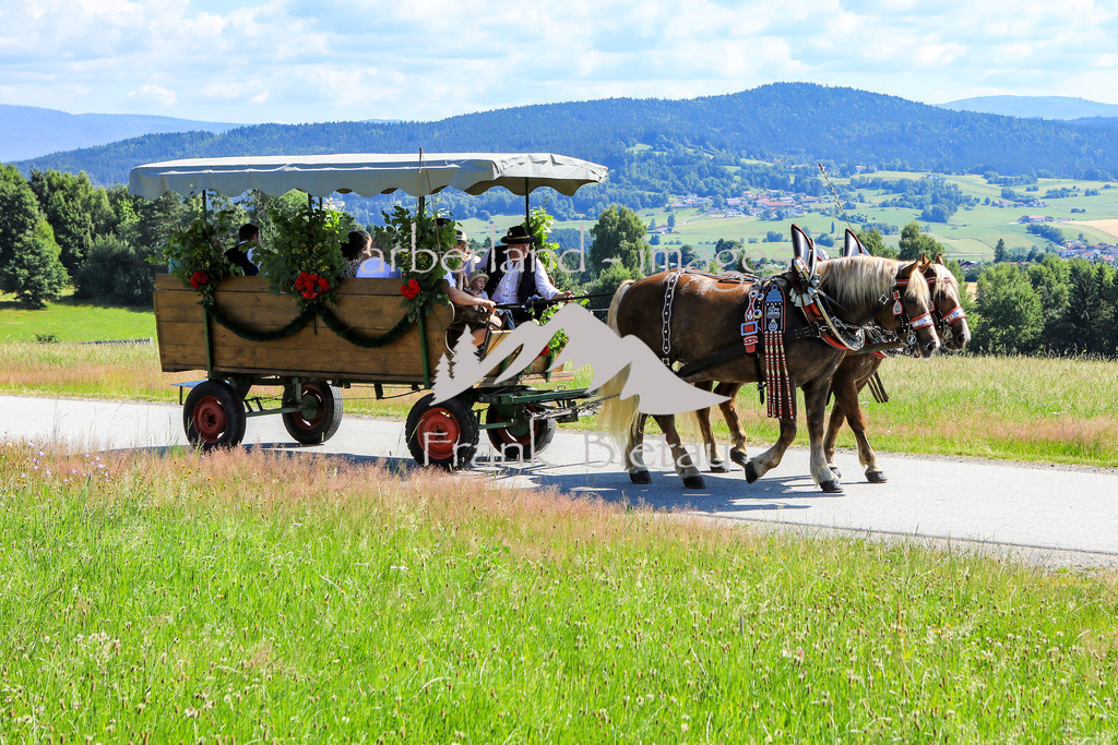 OE7A9821 | Medien- Sport- Entertainmentfotos