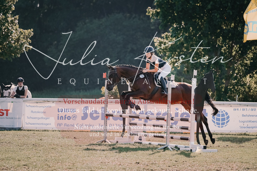 DSC_4773 | Pferde- und Turnierfotografie in Westsachsen. Pferdeportraits, Auftragszeichnungen und intuitive Kunst.