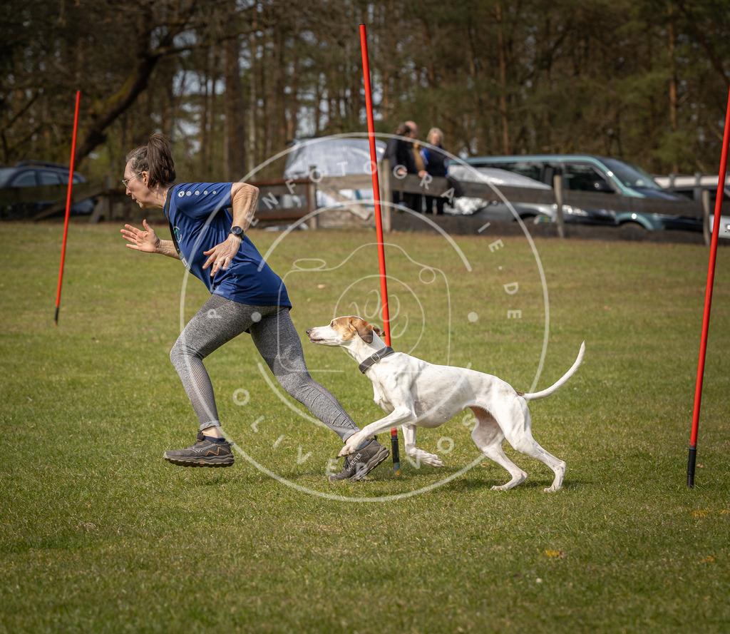 Pfotenfotografie_DV3A8108 | Hundefotografie, Tierfotograf, Pfotenfotografie, Fotoshooting Hund, Hunde Portrait, Hundesport, Hundeportraits, Heideshooting, Hunde, Sportfotograf, Hundefotograf, Turnierhundsport, THS,  - Realisiert mit Pictrs.com