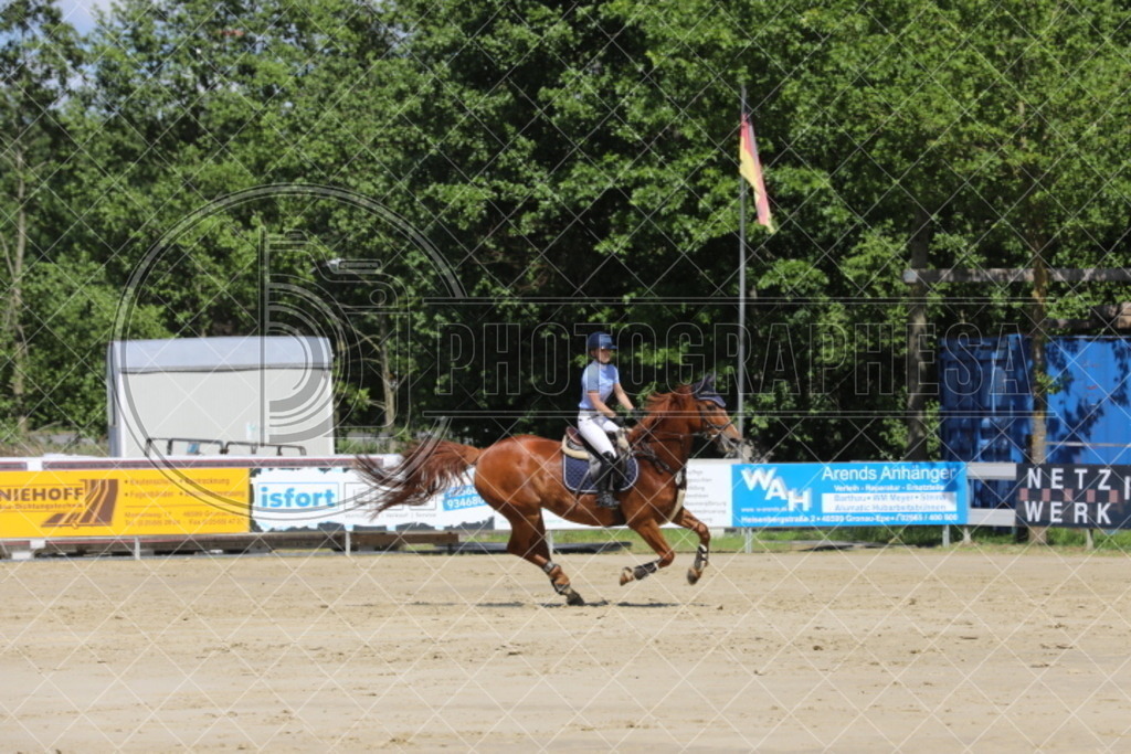 IMG_5134 | photographesa-joergens - Realisiert mit Pictrs.com