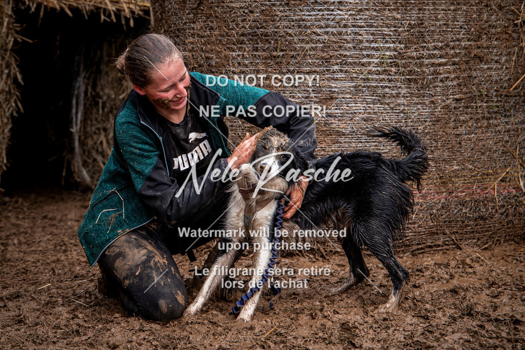 nelerasche_Hunsrück_So09-11_165 | nelerasche