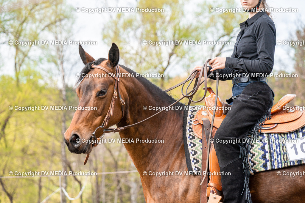 BAL02710 | dv-media-shop - Realisiert mit Pictrs.com