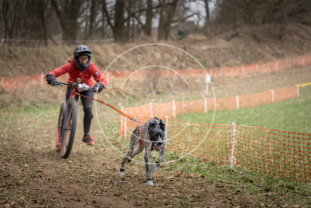 Pfotenfotografie_DV3A6695 | Hundefotografie, Tierfotograf, Pfotenfotografie, Fotoshooting Hund, Hunde Portrait, Hundesport, Hundeportraits, Heideshooting, Hunde, Sportfotograf, Hundefotograf, Turnierhundsport, THS,  - Realisiert mit Pictrs.com