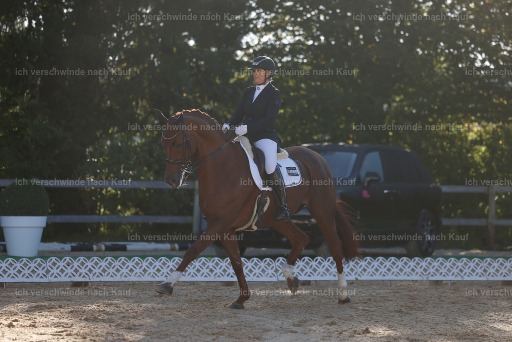 09_1-230-DRESSUR  S_  -StoibPH-5543 | working equitationturnier fotograf videograf stoibphotography marixx film working equitation deutschland reitsport turnierfotografie eventfotografie equestrian events