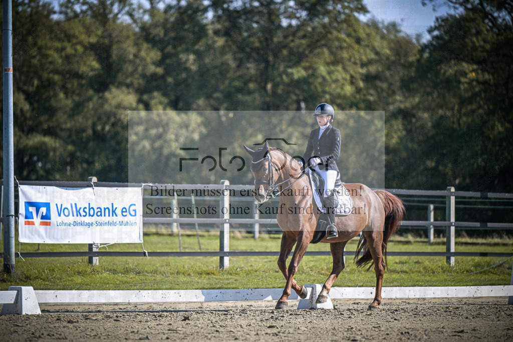DOS_3054 | Entdecke hochwertige Reitturnierfotos von Foto Oger. Professionell, emotional und authentisch – jetzt Lieblingsmomente im Shop bestellen.Deutschlandweite Turnierfotografie. - Realisiert mit Pictrs.com
