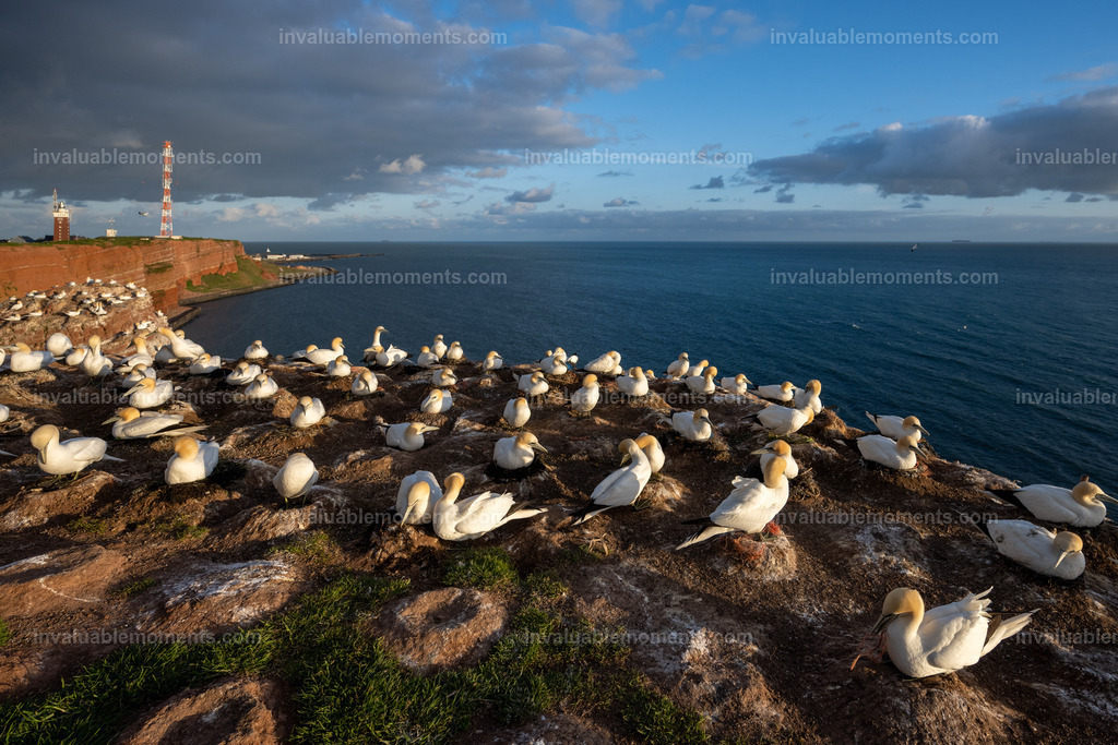 DSC_6529 | invaluablemoments.com - Realisiert mit Pictrs.com