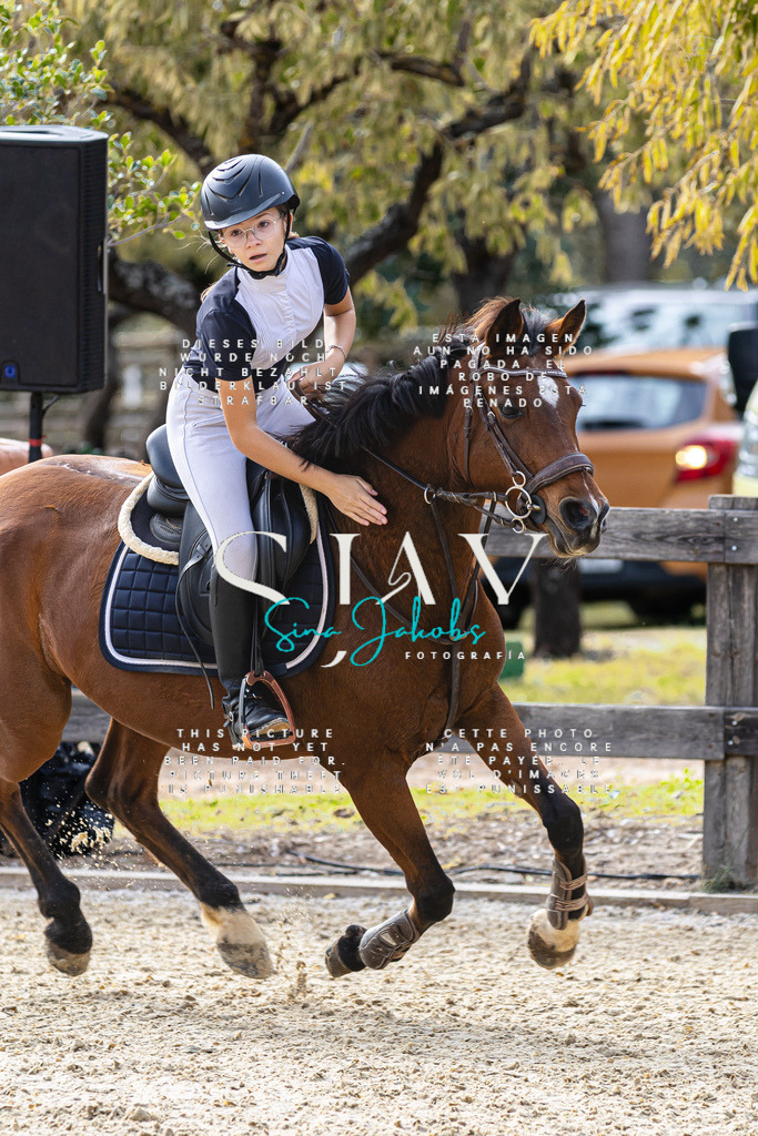 IMG_5607 | s-jay-photography - Realisiert mit Pictrs.com