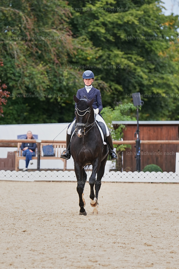 11-042-Dressur S___-Marixx-1664 | working equitationturnier fotograf videograf stoibphotography marixx film working equitation deutschland reitsport turnierfotografie eventfotografie equestrian events