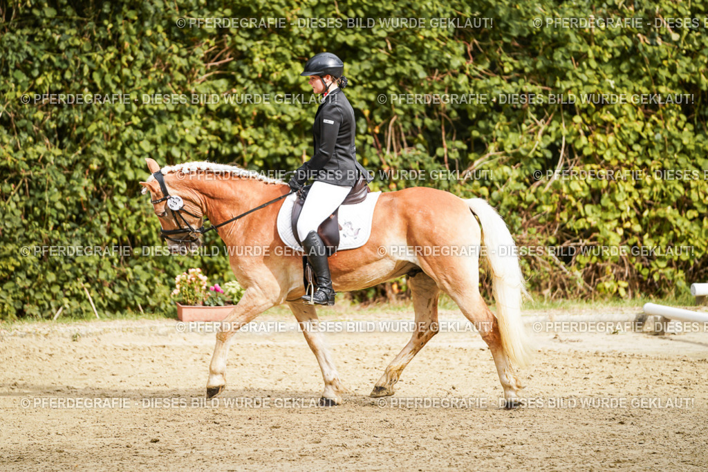 DSC09919 | Pferdegrafie