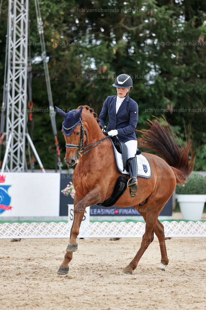 04_1-143-Dressur M__ -StoibPH-StoibPH-2695 | working equitationturnier fotograf videograf stoibphotography marixx film working equitation deutschland reitsport turnierfotografie eventfotografie equestrian events