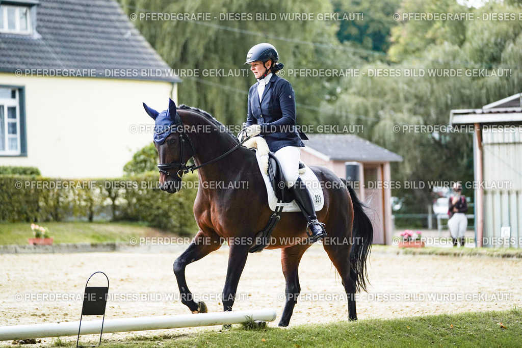 DSC00060 | Pferdegrafie