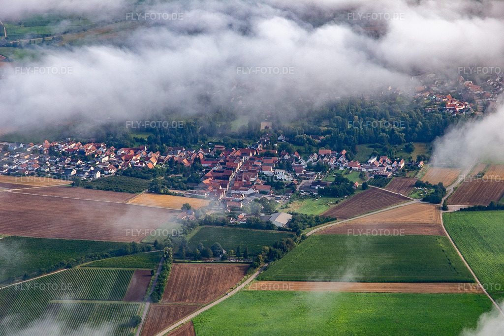 Luftbild: Waldstraße von Süden unter Wolken im Ortsteil Mühlhofen in Billigheim-Ingenheim im Bundesland Rheinland-Pfalz in Deutschland. Foto: IMG_142900.jpg vom 03.08.2024 durch Werner Riehm/FLY-FOTO.de