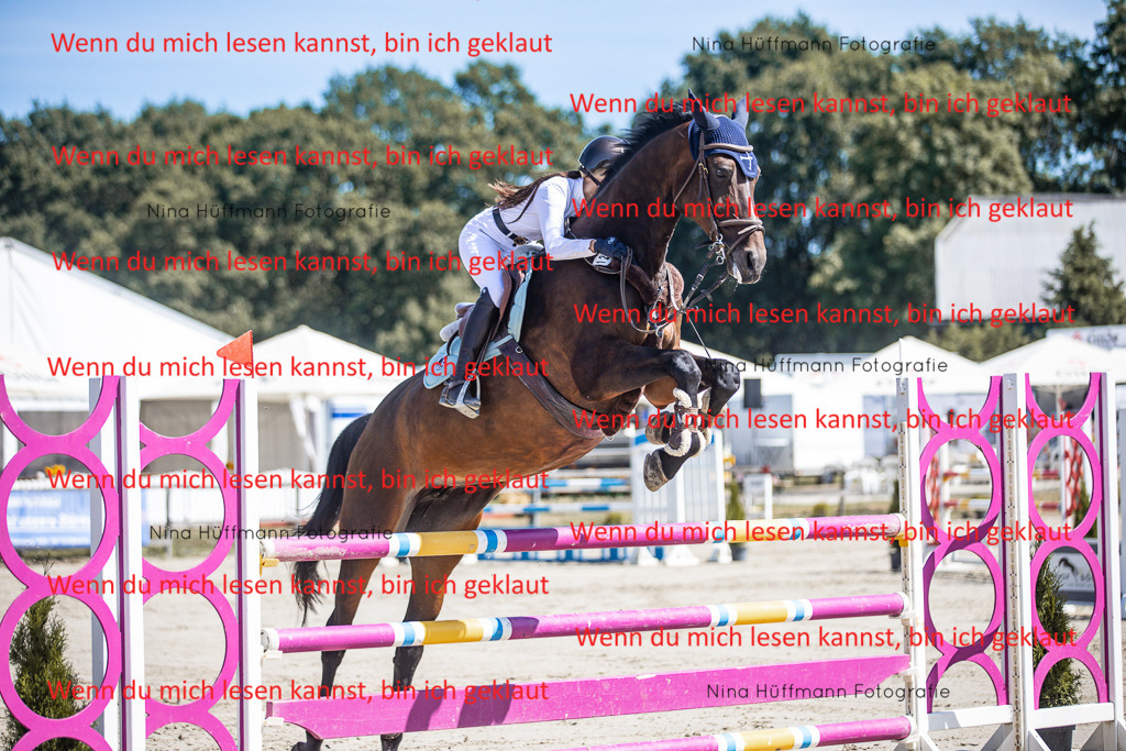 BK1A6665 | Turnierbilder Turnierfotos Nina Hüffmann Turnierfotografie Pferdefotografie Tierzeichnung Haustierzeichnung Pferdezeichnung Hundezeichnung Videograf  - Realisiert mit Pictrs.com