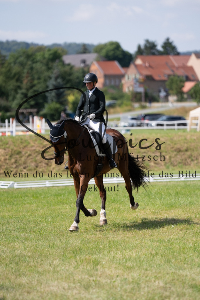 A7V09788 | Pferdefotograf