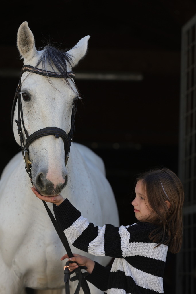0P6A9011 | Willkommen bei Brunnmayr - Design & Fotografie – Ihrem Spezialisten für Reitturniere und Pferdeveranstaltungen in Oberösterreich, Salzburg und Bayern! Seit über 17 Jahren sind wir leidenschaftlich dabei.